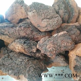 安祁名药俄罗斯野生桦树茸 白桦茸图2