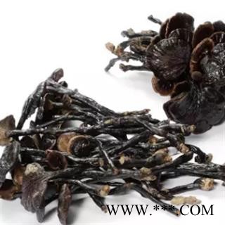 安祁名药 灵芝 野生竹灵芝图2