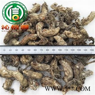 【满包邮】金蝉花个子统货散装产地直供蚕花沁信源中药批发图3