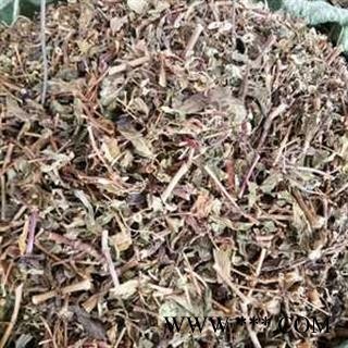 新辉药业中药材败酱草 黄花败酱草图3