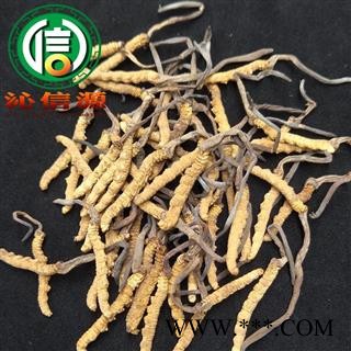 【满包邮】干虫草4000条 平均0.25~0.27克每条 散装产地直供冬虫夏草沁信源中药批发图3