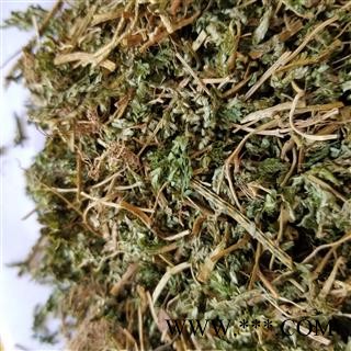 九盛堂中药材 翠云草 别称 蓝草 剑柏 蓝地柏 地柏叶 伸脚草 绿绒草 烂皮蛇图3