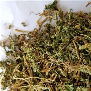 九盛堂中药材 翠云草 别称 蓝草 剑柏 蓝地柏 地柏叶 伸脚草 绿绒草 烂皮蛇图4
