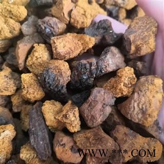 新辉药业桦树茸   白桦茸   白桦树茸  十几种规格图2