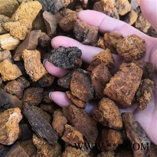 新辉药业白桦茸 纸筒精装100克/瓶图4