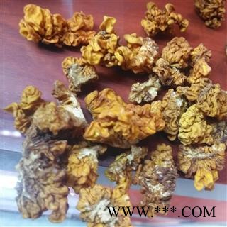 新辉药业优质云南金耳 黄木耳 野耳 脑耳图2