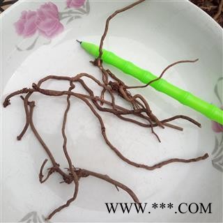 茜草 选小 产地 河南省平顶山市汝州市图3