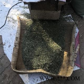 柴胡 新品促销柴胡杆带叶野生5元/公斤 产地 河南省平顶山市汝州市图2