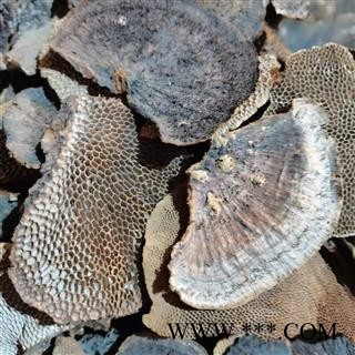 安祁名药灵芝 蜂窝灵芝 野生灵芝图2