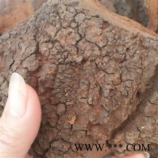 安祁名药正品白桦茸 桦树茸 桦褐孔菌图2