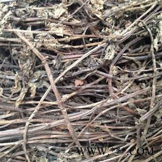 新辉药业中药材凉粉草  仙人草  仙草图2