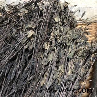 新辉药业野生中药材鬼羽箭 黑草  羽箭图3