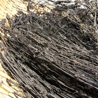 新辉药业野生中药材鬼羽箭 黑草  羽箭图2