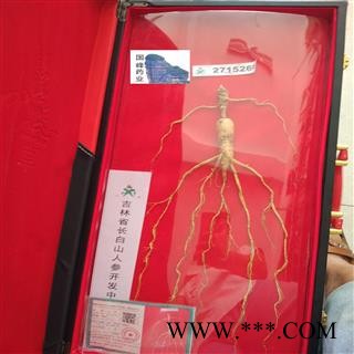 人参 珍品 盒长大概一米 长白山人参 全株  国峰药业 重在品质 产地 吉林省图2