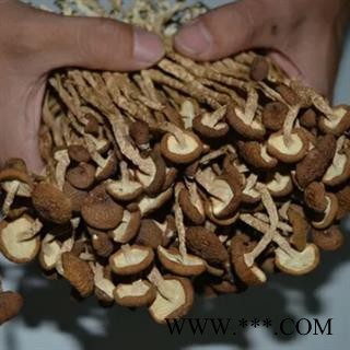 新辉药业正品江西特产黄蘑菇  茶树菇图2