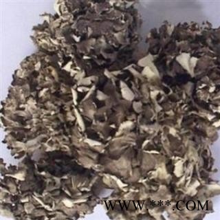 新辉药业灰树花 栗子蘑 莲花菌 叶状奇果菌 千佛菌 云蕈 舞茸图2