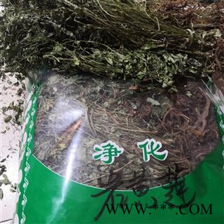 诺源药材行岩黄连  岩胡 岩莲 土黄连图2