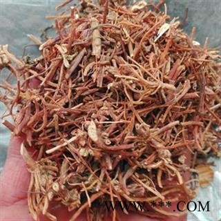 诺源药材行野生龙胆草 金龙胆草根图1