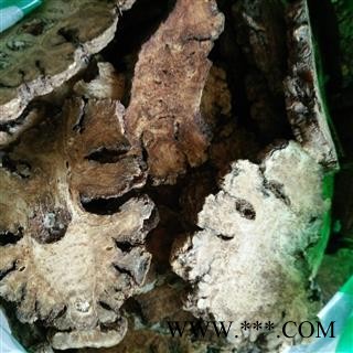 川芎 16筛子以上选片 无硫磺  产地 四川省图2