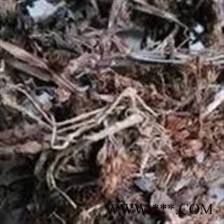 诺源药材行正品瓦松草  瓦花 向天草 天王铁塔草图2