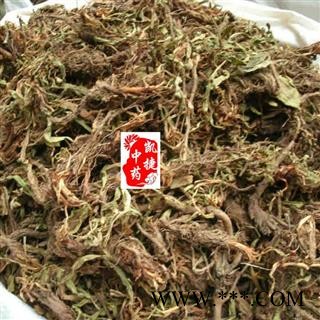 甘松 统货 产地 四川省图2