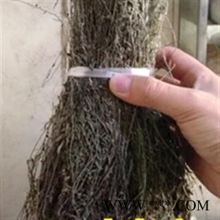 诺源药材行独脚柑 干草 细独脚马骝 马佬含菊图2