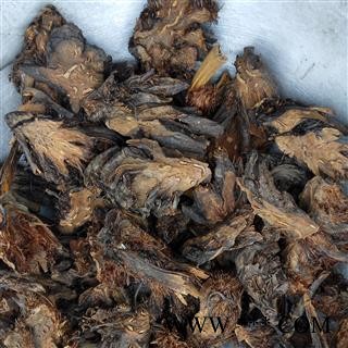 贯众 新货 颜色好 无虫蛀 无硫磺 纯干货 国峰药业 重在品质 产地 四川省图2