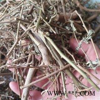 诺源药材行正品野生虱母头 白背黄花稔  梅肉草 扫把麻图2