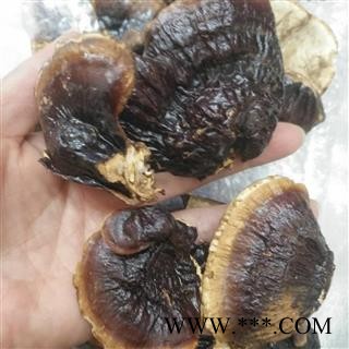 安祁名药优质灵芝图3