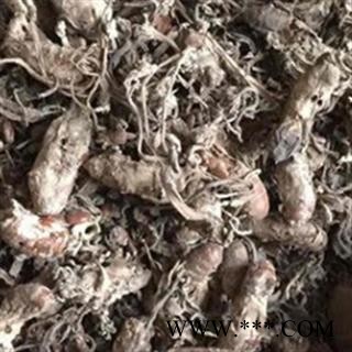 安祁名药野生金蝉花  金虫草 正品大别山蝉花图2