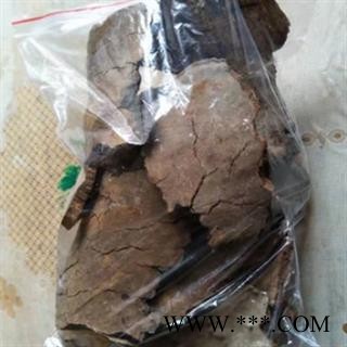 安祁名药正品斑褐灵芝 斑褐孔菌图2