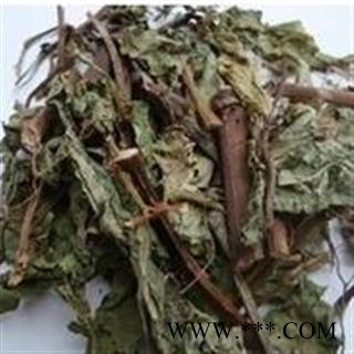 诺源药材行火炭母 火炭星 乌饭藤图3