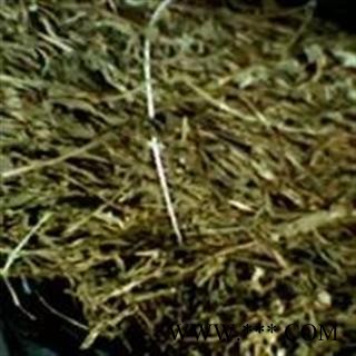 诺源药材行中药材正品盘龙参 一线香 一叶一枝花  量大从优图2