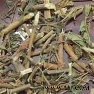 诺源药材行中药材含羞草 怕羞草 喝呼草 怕丑草 望江南 感应草图2