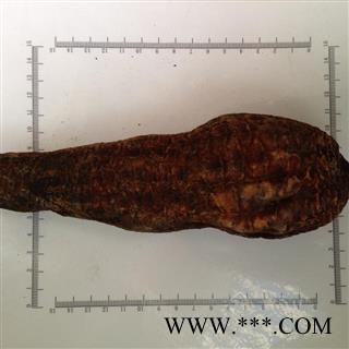 新辉药业肉苁蓉  大芸图2