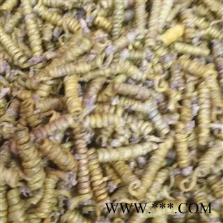 新辉药业石斛  霍山石斛以及各种规格图2