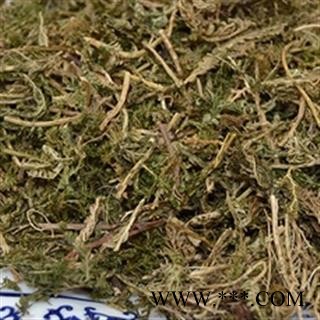 新辉药业正品翠云草 龙须 蓝草 蓝地柏 绿绒草图1