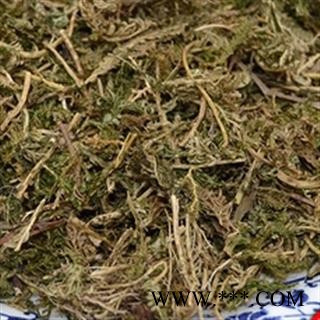 新辉药业正品翠云草 龙须 蓝草 蓝地柏 绿绒草图2