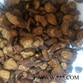 蒲公英 蒲公英茶蒲公英根茶图4