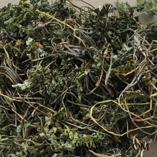 诺源药材行中药材小春花 一朵云 破天云 阴地蕨 独立金鸡 散血叶 产地 湖北省图1