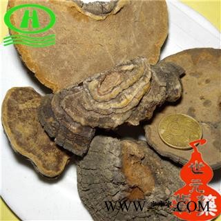 世元药业 桑黄 别称 槐耳 猢狲眼 桑耳 桑臣 桑黄菇 桑黄菰 梅树菌树蛇 木灵芝图2