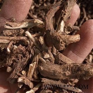 墓头回 新品促销全野生精选无土无杂大切片小切段 产地 河南省平顶山市汝州市图3