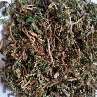 诺源中药材翠云草 龙须   剑柏  绿绒草图2