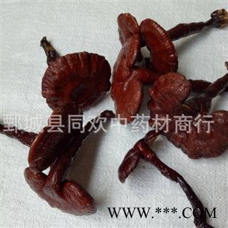 【木灵芝个】@【同欢药材】中药材批发供应  规格齐全 量大从优 产地 吉林省图3