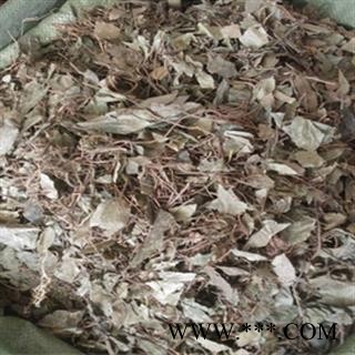 诺源药材行中药材优质正品平地木 不出林 四叶茶图2