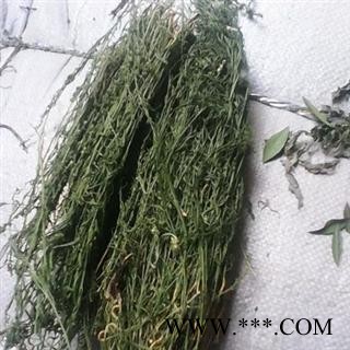 新辉药业百蕊草 一棵松 地石榴图2