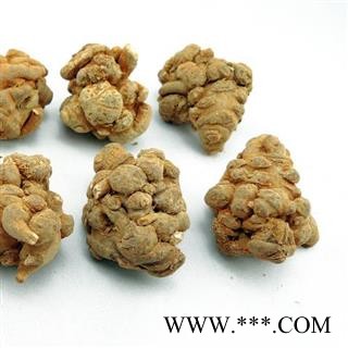 三七 三七20头 产地 云南省图2