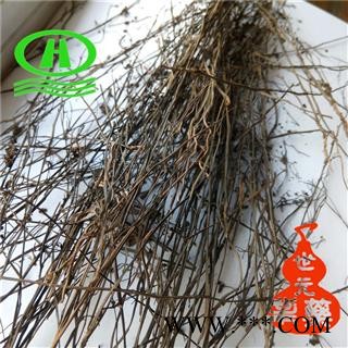 世元药业 茅膏菜 正品 毛毡苔 石龙芽草 山胡椒 胡椒草 夏无踪 白花叶 黄金丝图2