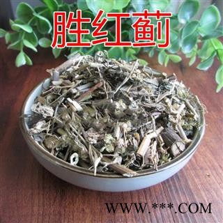 胜红蓟、咸虾花、白花草 咸虾草图1