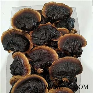 新辉药业无柄小灵芝 野生灵芝图2